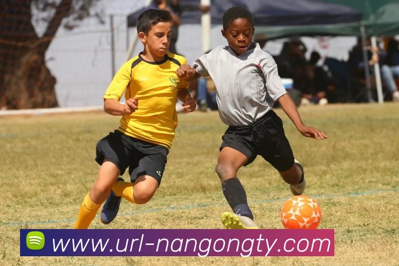 南宫娱乐平台生态图