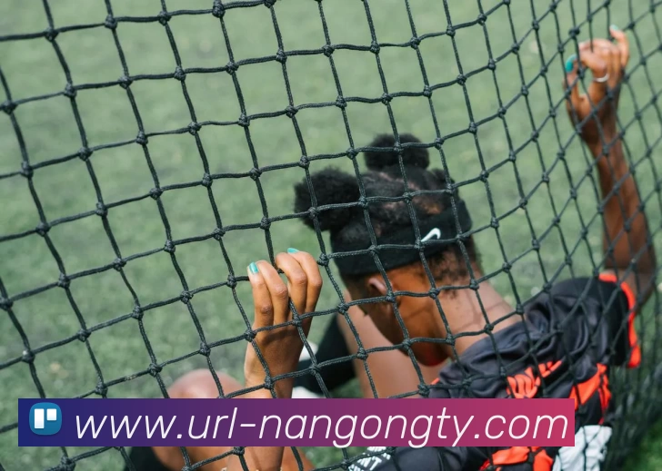 南宫娱乐APP 封面图